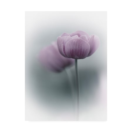 Purple Bamboo 'Purple Tulip Vignette' Canvas Art,35x47